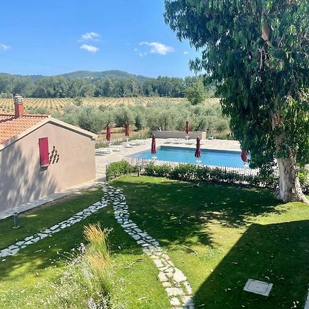 Terravita Winery & Boutique Apartments Suvereto Zewnętrze zdjęcie