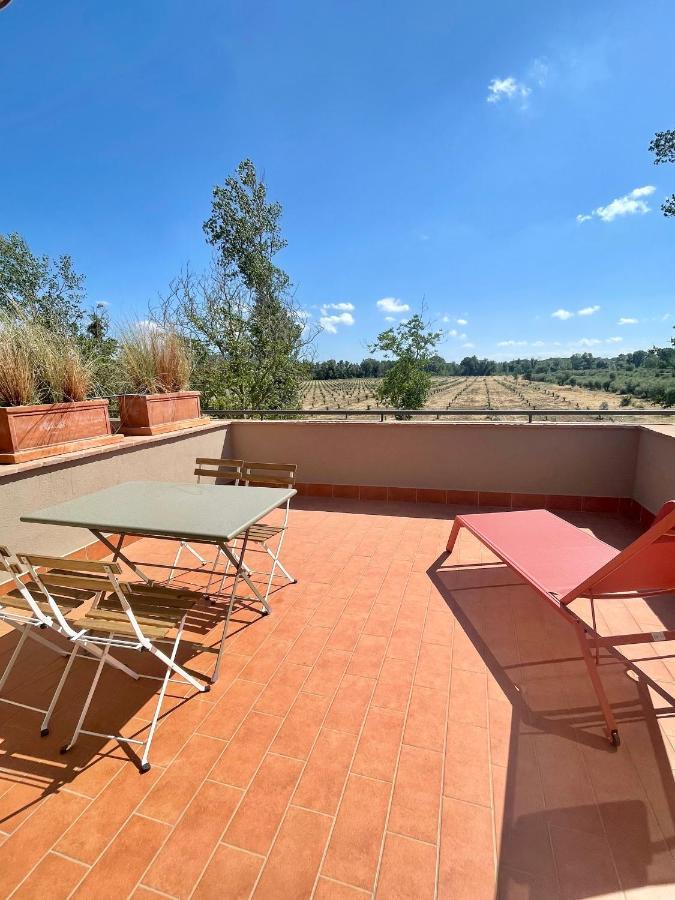 Terravita Winery & Boutique Apartments Suvereto Zewnętrze zdjęcie