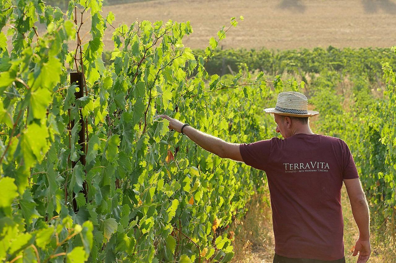 Terravita Winery & Boutique Apartments Suvereto Zewnętrze zdjęcie