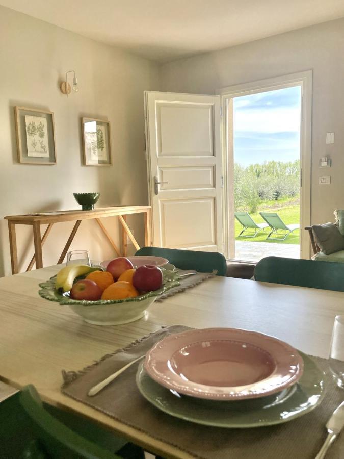 Terravita Winery & Boutique Apartments Suvereto Zewnętrze zdjęcie