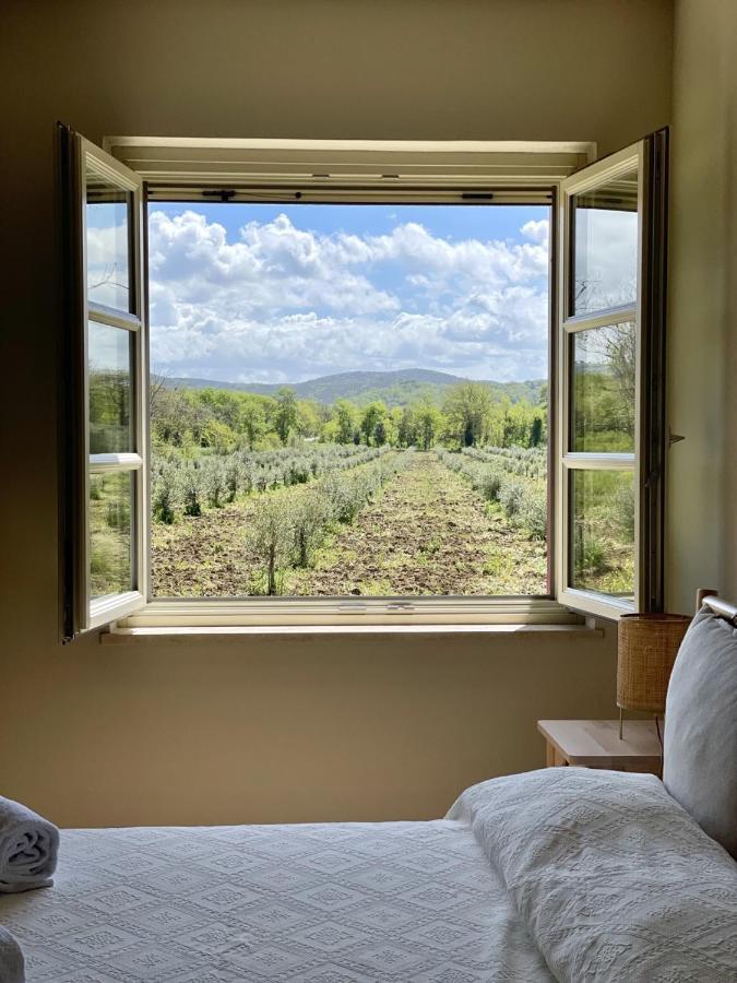Terravita Winery & Boutique Apartments Suvereto Zewnętrze zdjęcie