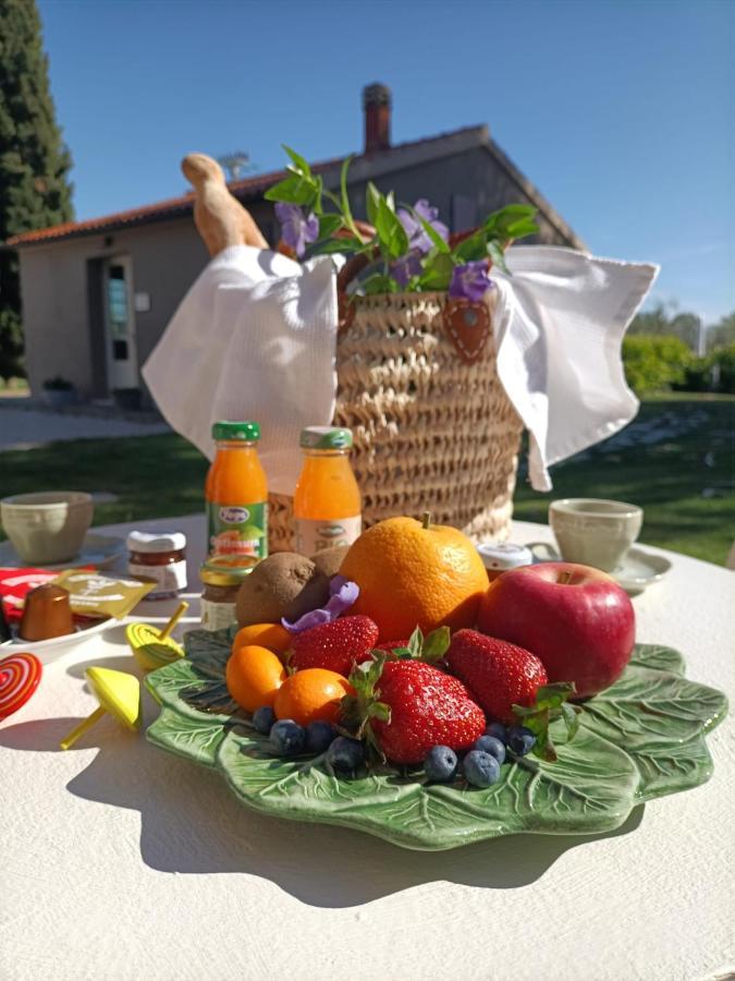 Terravita Winery & Boutique Apartments Suvereto Zewnętrze zdjęcie