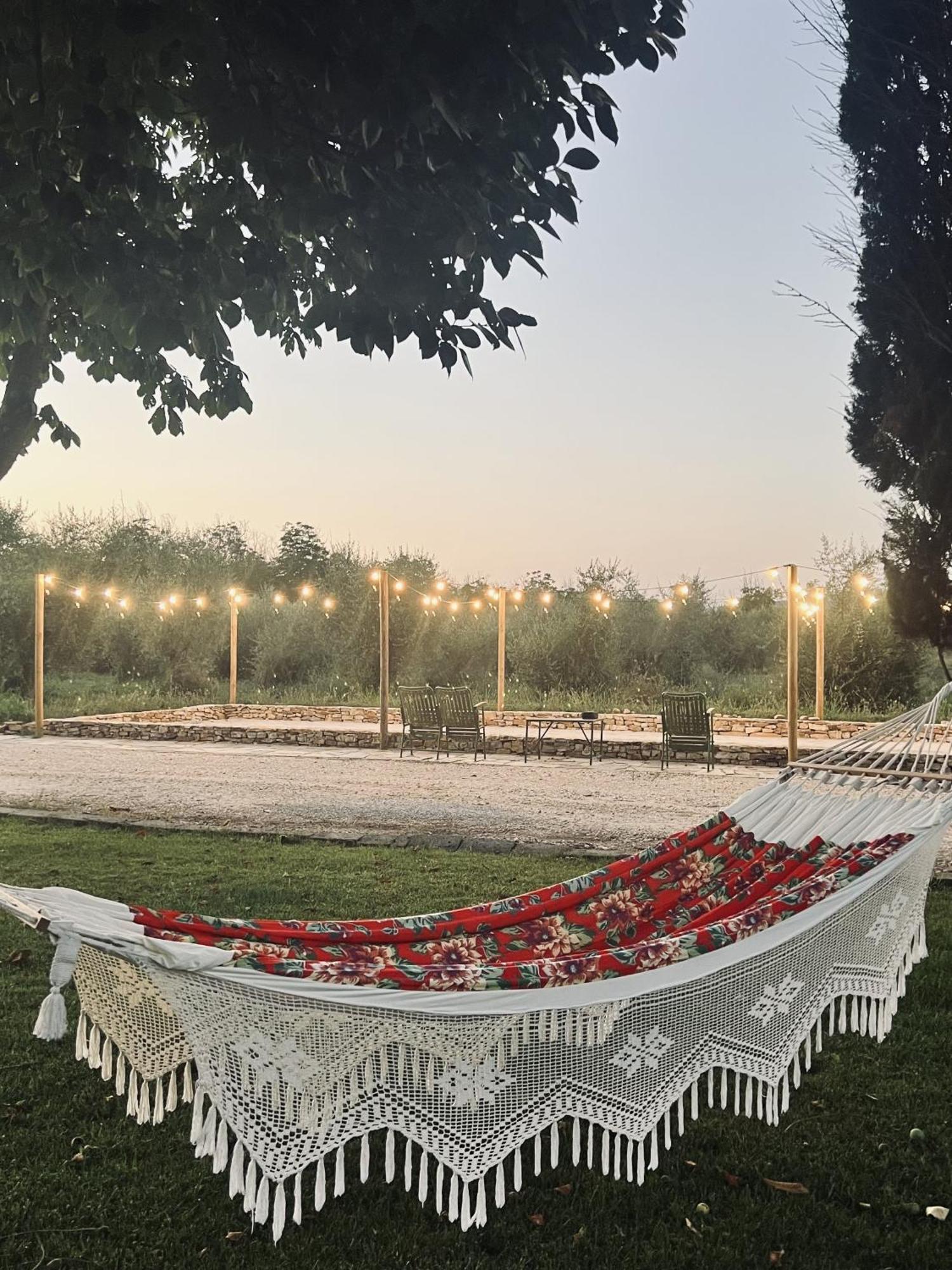 Terravita Winery & Boutique Apartments Suvereto Zewnętrze zdjęcie